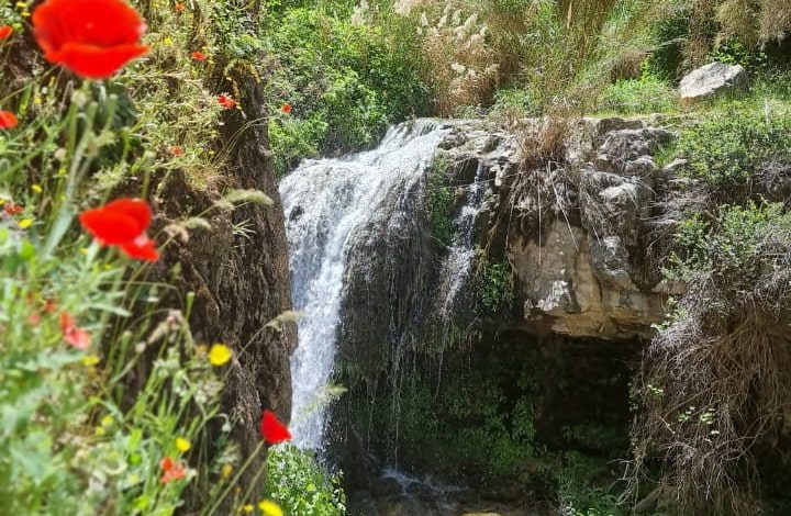 آبشار نورآباد